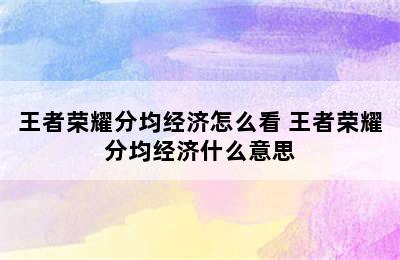 王者荣耀分均经济怎么看 王者荣耀分均经济什么意思